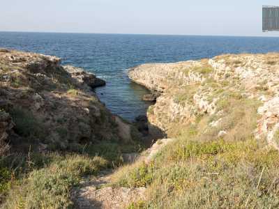 Torniamo su e proseguiamo. Da qui in poi gli scogli tornano a essere pi� aguzzi, anche se a un certo punto si aprono al mare per lasciare spazio a una lunga e stretta insenatura circondata da lussureggiante macchia mediterranea
